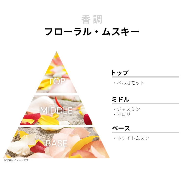 試してみた】ビュット・ショーモン公園｜シダーウッドとサンダル