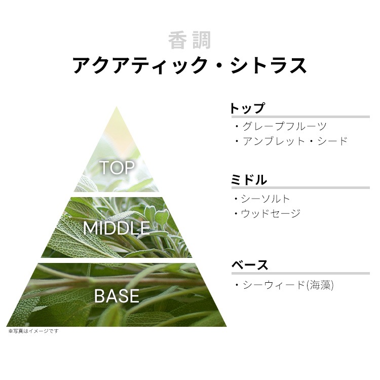 ジョー マローン ウッドセージ＆シーソルト EDC・SP 30ml JO MALONE