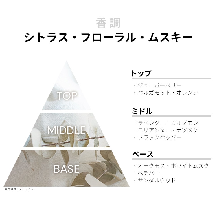 アッカカッパ ホワイト モス EDC SP 100ml | アッカカッパ ACCA KAPPA ホワイトモス 100ml EDC SP [並行輸入品] | Acca Kappa |  オーデコロン・EDC 通販