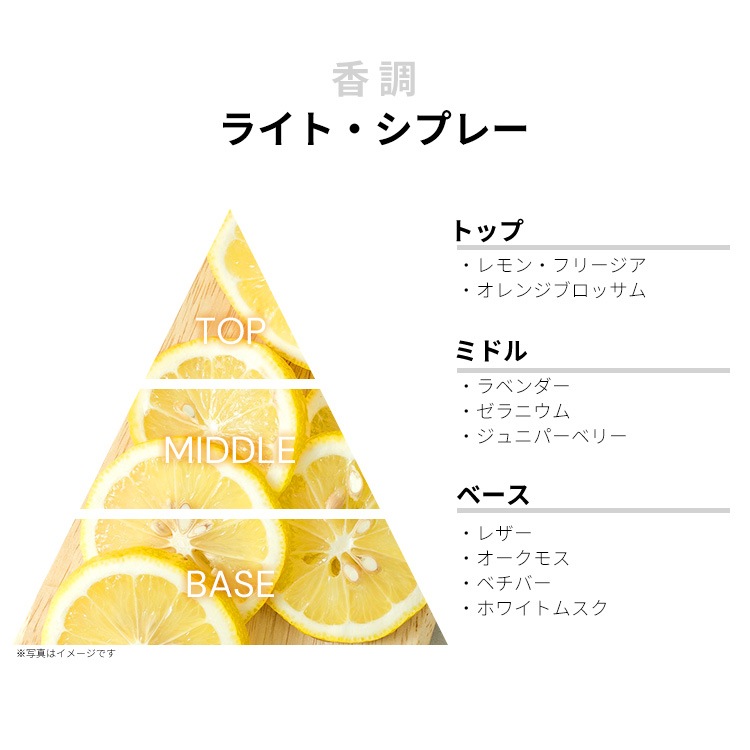 パルロックス アニマル フォーメン EDT・SP 100ml PARLUX ANIMALE FOR