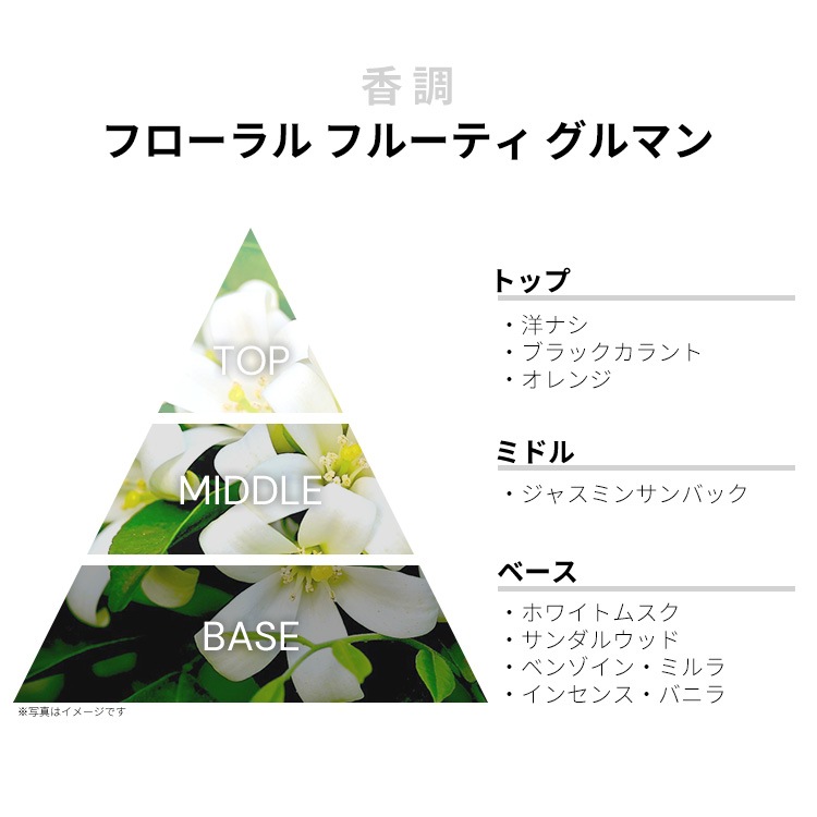 キャロン アンフィニ EDP・SP 100ml 送料無料 CARON INFINI EAU DE