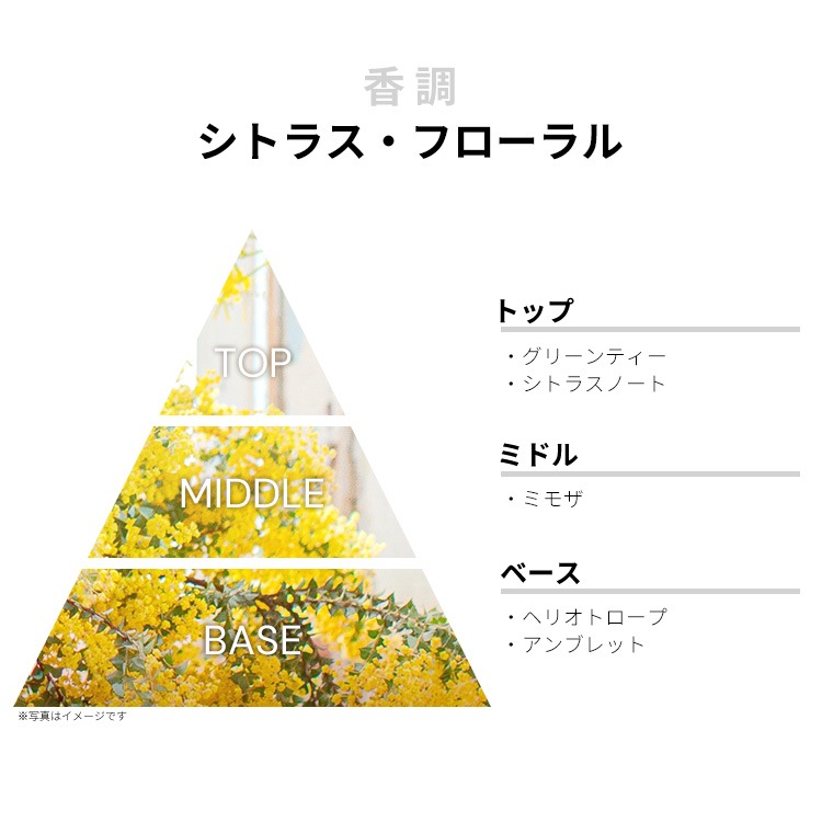 エリザベスアーデン グリーンティー ミモザ EDT・SP 100ml ELIZABETH