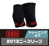 SBD 2013 �ˡ����꡼��