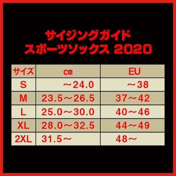 SBD ���ݡ��ĥ��å���2020