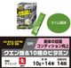 ������ɥ��� ���������10��Υӥ��ߥ�ڥ饤����̣��