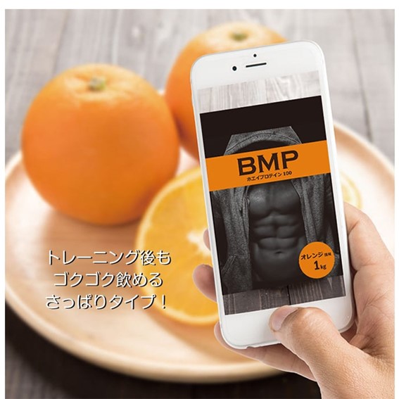 BMP�ץ��ƥ��� �ڥ������̣/1kg��