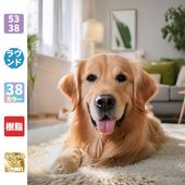 ダイヤモンドアート AHD014 ゴールデンレトリバー 53×38cm 樹脂ビーズ スペシャルビーズ付