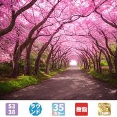 ダイヤモンドアート AHD025 桜トンネル 53×38cm ラウンドビーズ 樹脂ビーズ スペシャルビーズ付