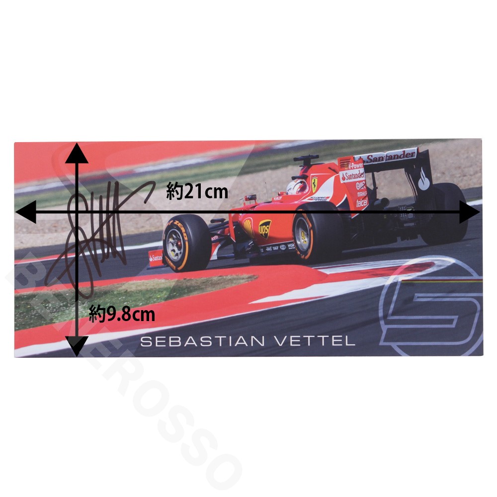 メモラビリア 2016 S.ベッテル パーソナル カード 直筆 サイン入り【返品・交換対象外】