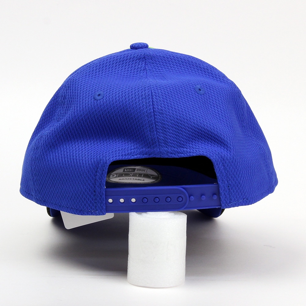 Visa Cash App Racing Bulls NewEra 9FORTY チーム キャップ 2026 ブルー 14936411