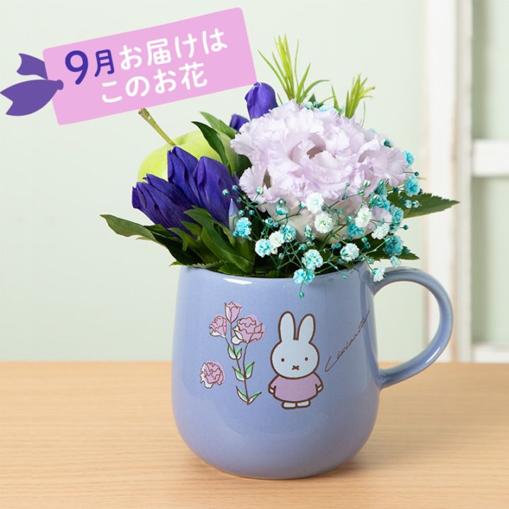 フラワーミッフィー ミニタオル 18枚セット 人気絵本ミッフィーのお花屋さん「フラワーミッフィー」にて