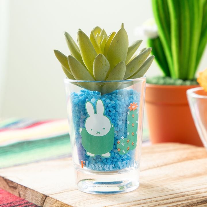 Flower Miffy ミニグラス アートグリーンインテリア 柱サボテン