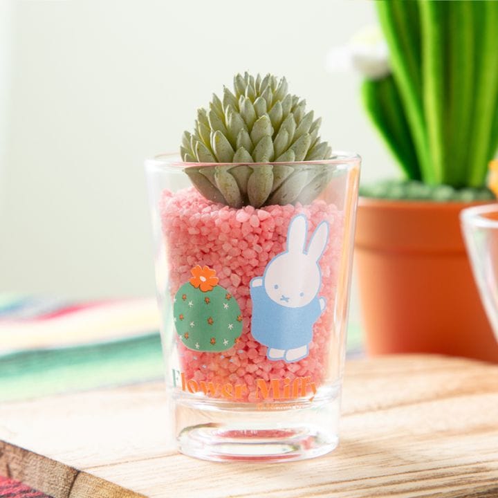 Flower Miffy ミニグラス アートグリーンインテリア 球サボテン