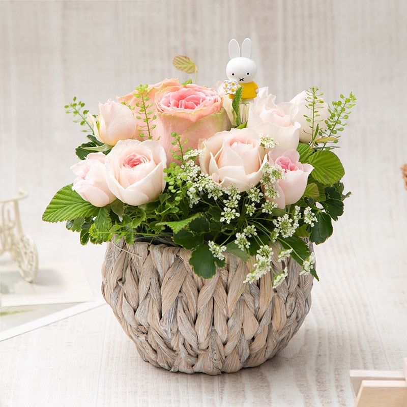 【直送商品A】ミッフィーとたくさんのバラに囲まれて