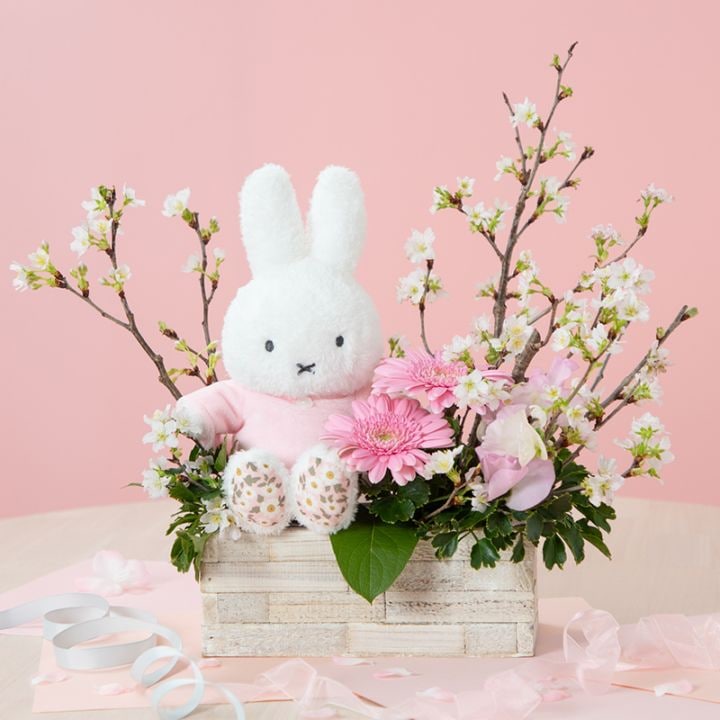 【直送商品A】ミッフィーとさくらどき