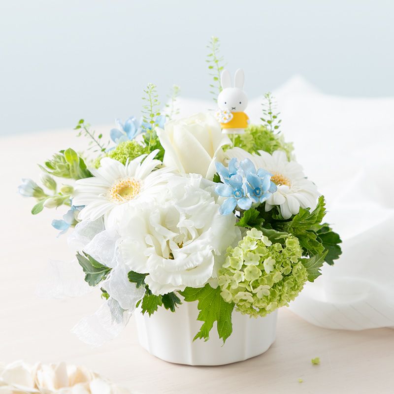 【直送商品A】ミッフィーと淡いときめき