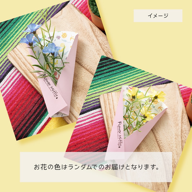 Flower Miffy ミニグラス サボテン 3種セット アートフラワー付き