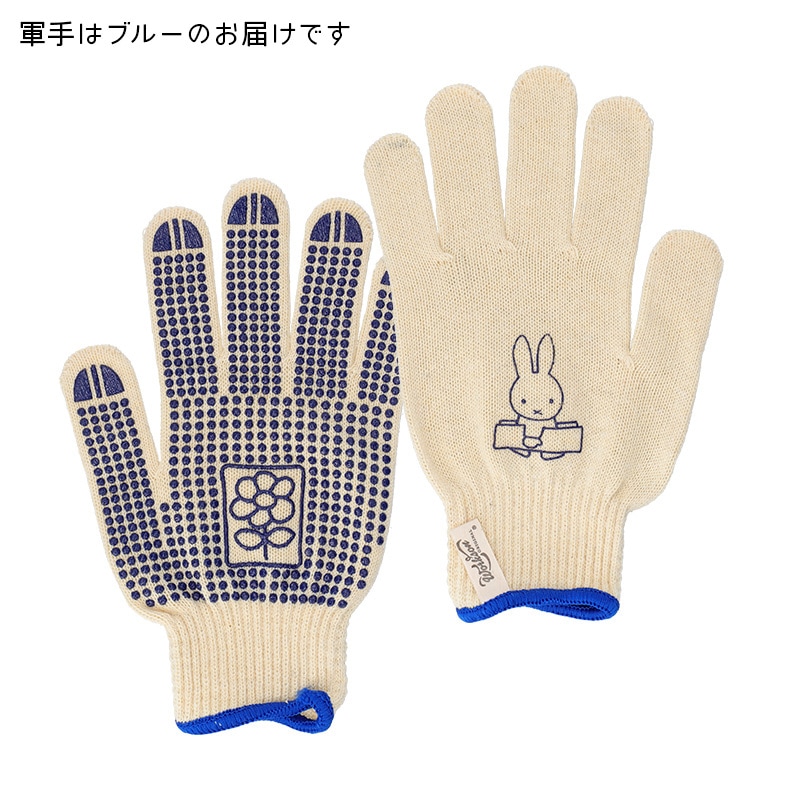 【直送商品A】ミッフィーと一緒に始めるチューリップ栽培セット