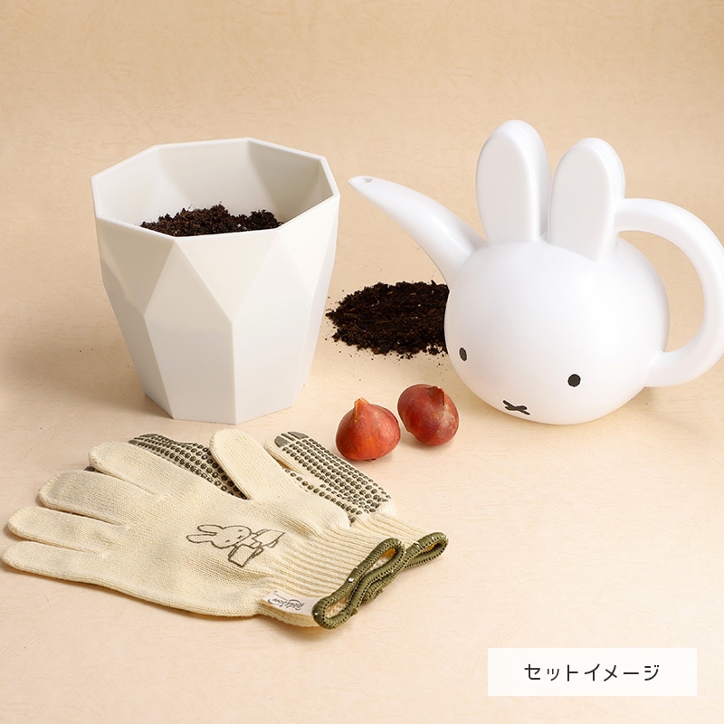 【直送商品A】ミッフィーと一緒に始めるチューリップ栽培セット