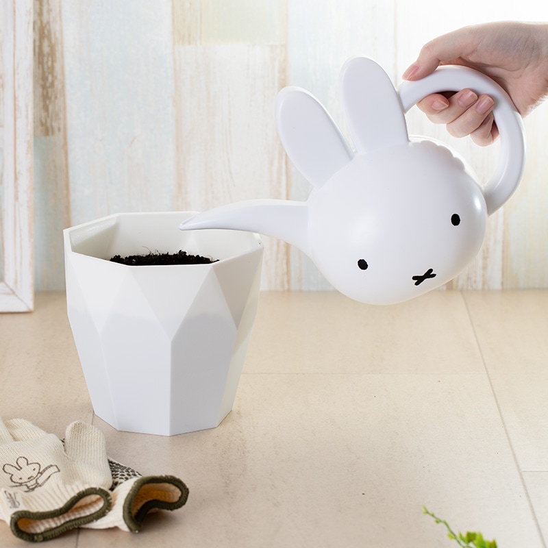 【直送商品A】ミッフィーと一緒に始めるチューリップ栽培セット