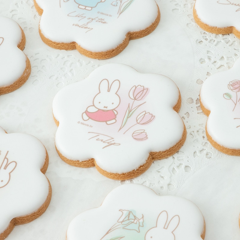 Flower Miffy バースデーフラワーアイシングクッキーセット デンファレ