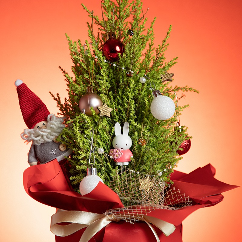 直送商品A】ミッフィー クリスマスツリー | 生花アレンジメント