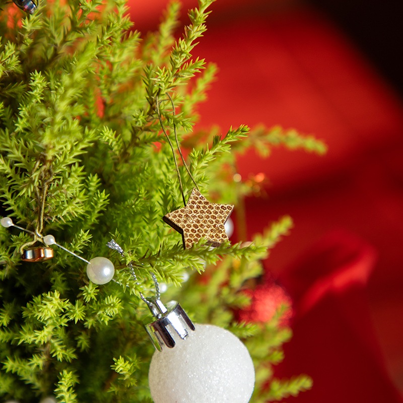 直送商品A】ミッフィー クリスマスツリー | 生花アレンジメント