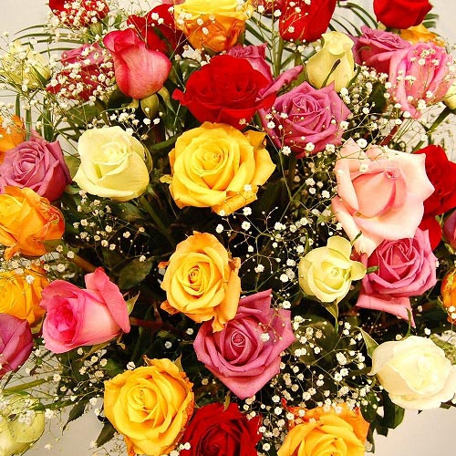 直送商品b シングル バラ白プラ 価格から選ぶ 30 001 50 000 ミッフィーのお花屋さん Flower Miffy