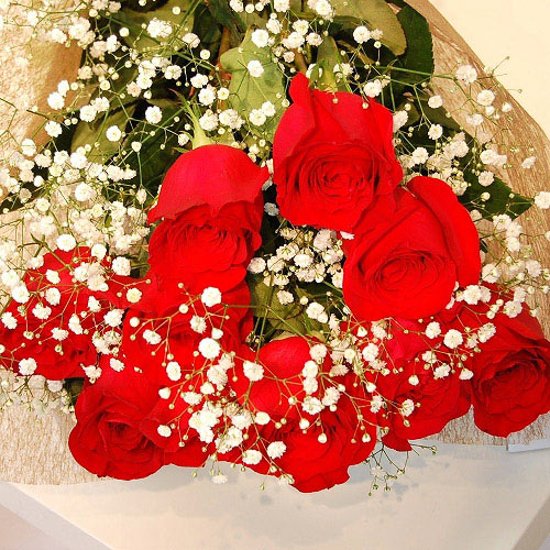 直送商品b 極上 大輪バラ花束 10本 赤 価格から選ぶ ミッフィーのお花屋さん Flower Miffy