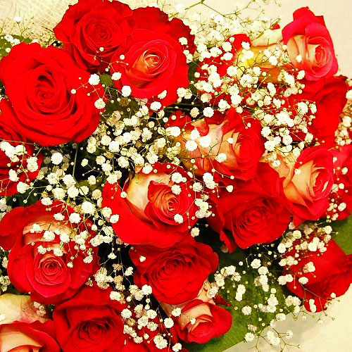 直送商品b 極上 大輪バラ花束 本プラスワン 赤系 価格から選ぶ 10 001 000 ミッフィーのお花屋さん Flower Miffy