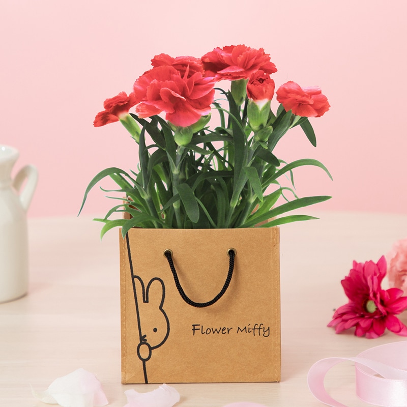 2026母の日】Flower Miffy 着せかえほわほわぬいぐるみ カーネーション