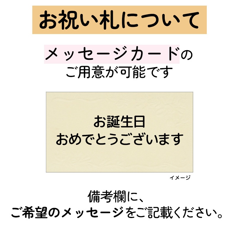 【直送商品E】Flower Miffy ミディ化粧蘭 3本立 おかお