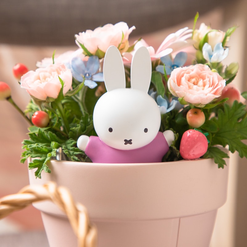 【直送商品A】ひょっこりいちごプランターアレンジ ピンク