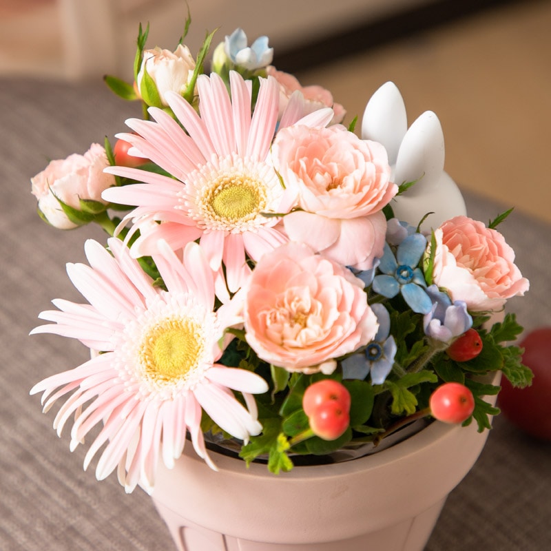 【直送商品A】ひょっこりいちごプランターアレンジ ピンク