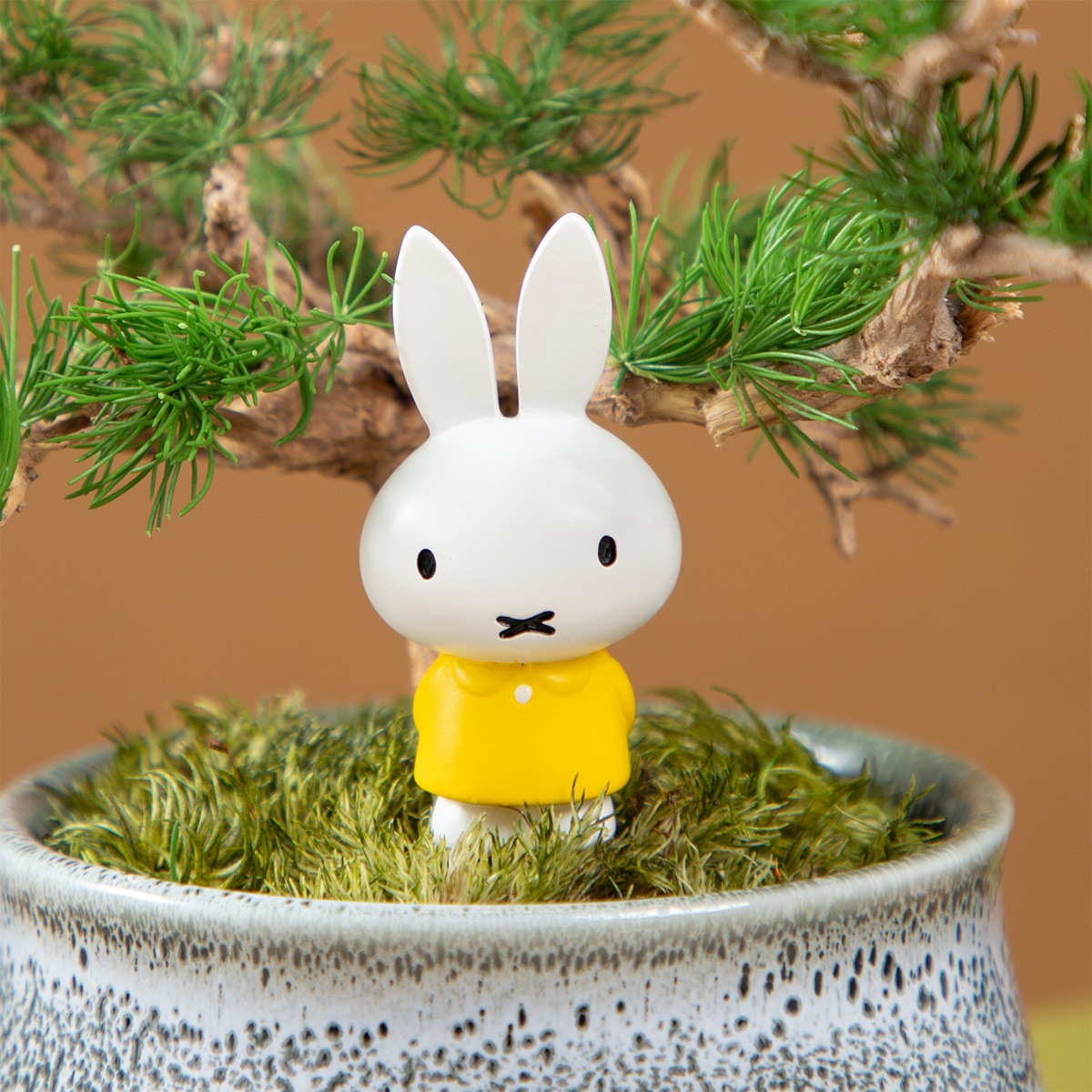 Flower Miffy 瀬戸焼鉢プリザーブドフラワー ミニ盆栽 ミッフィー