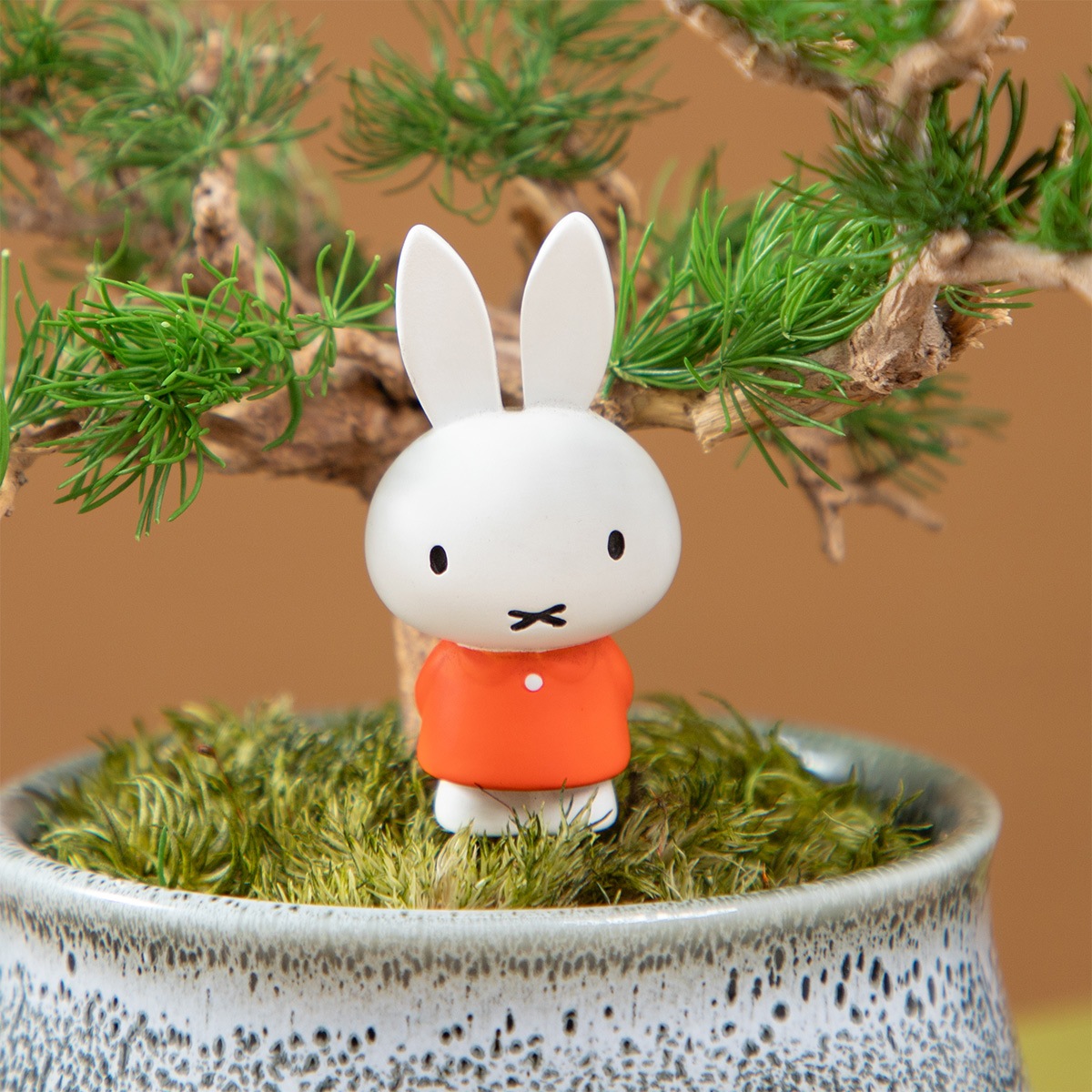 Flower Miffy 瀬戸焼鉢プリザーブドフラワー ミニ盆栽 ミッフィー