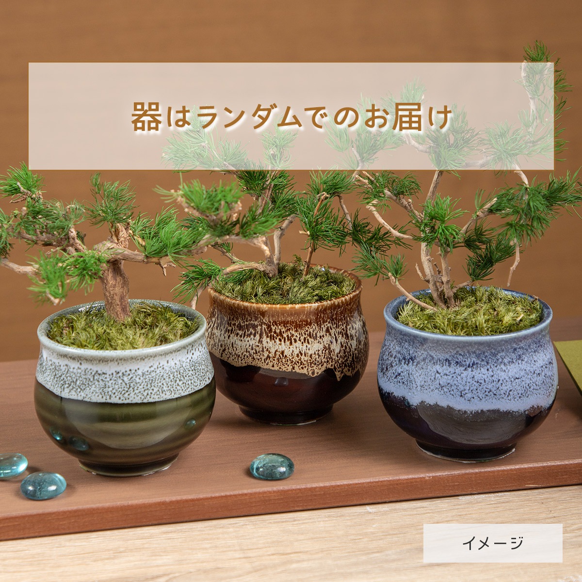 Flower Miffy 瀬戸焼鉢プリザーブドフラワー ミニ盆栽 ボリス | すべて