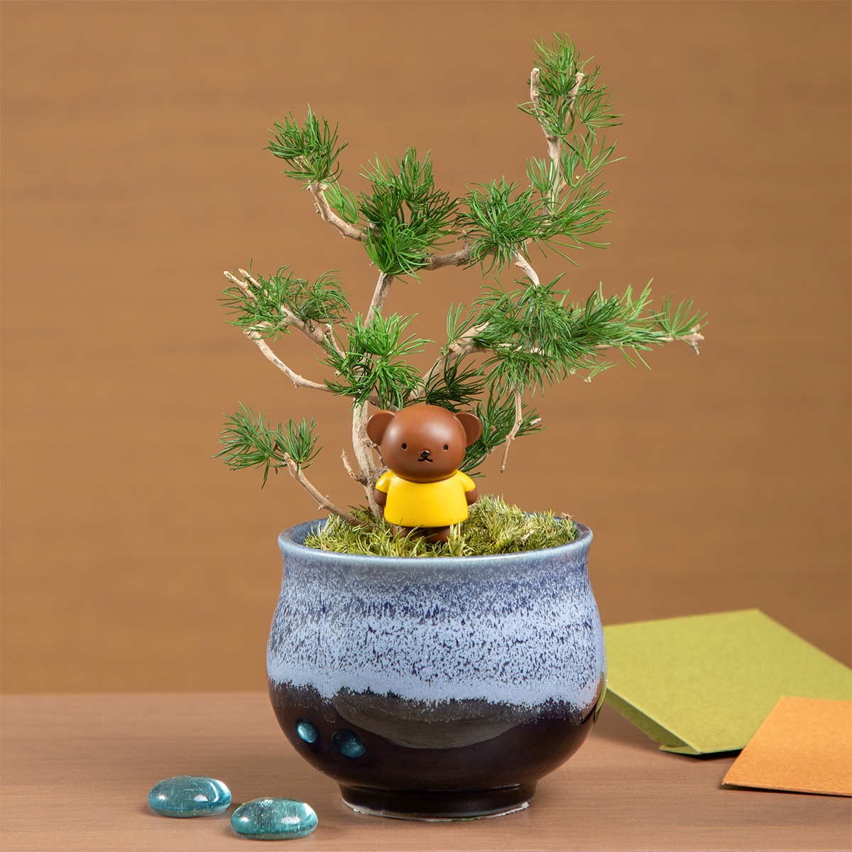 レリーフ彩花鉢 盆栽鉢 磁鉢山野草鉢 多肉植物 植木鉢 小品大品盆栽鉢陶器鉢置物 Flower Miffy 瀬戸焼鉢プリザーブドフラワー ミニ盆栽 ボリス | すべて