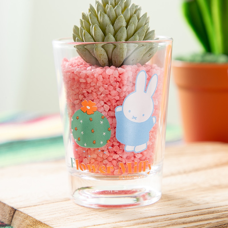 Flower Miffy ミニグラス アートグリーンインテリア 球サボテン