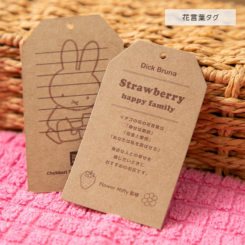 《先行発売》ブルーナ ちょっこりサンキューマスコット /ミッフィー (ギンガムチェック イチゴ・サーモンピンク)