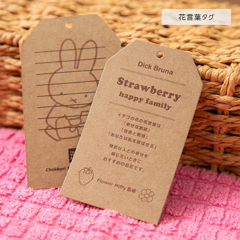 花言葉タグ写真