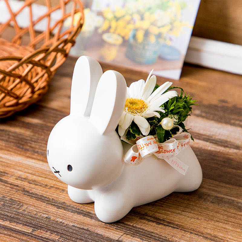 直送商品a うさぎカバーアレンジ ホワイト アレンジメント 生花 ミッフィーのお花屋さん Flower Miffy