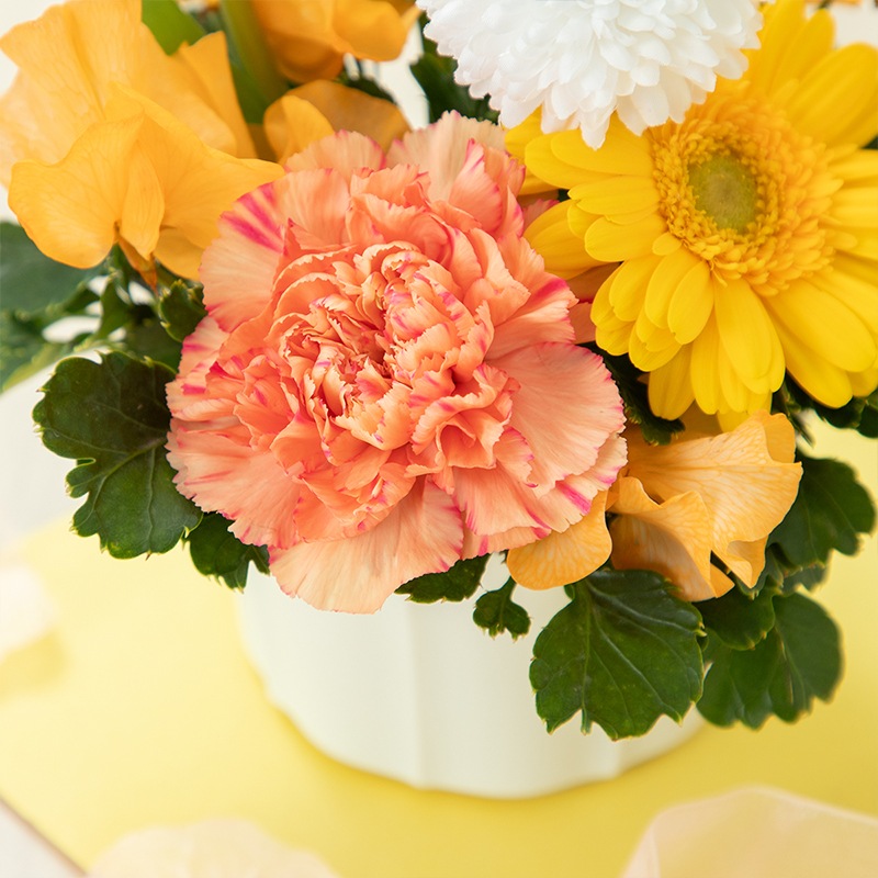 【直送商品A】春の予感 イエロー