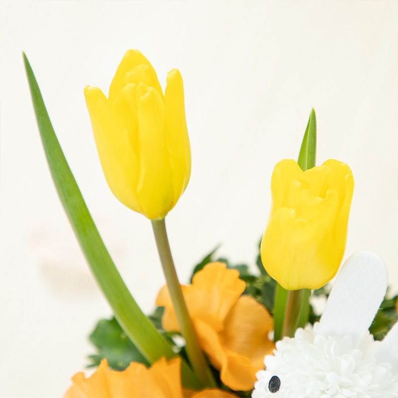 【直送商品A】春の予感 イエロー