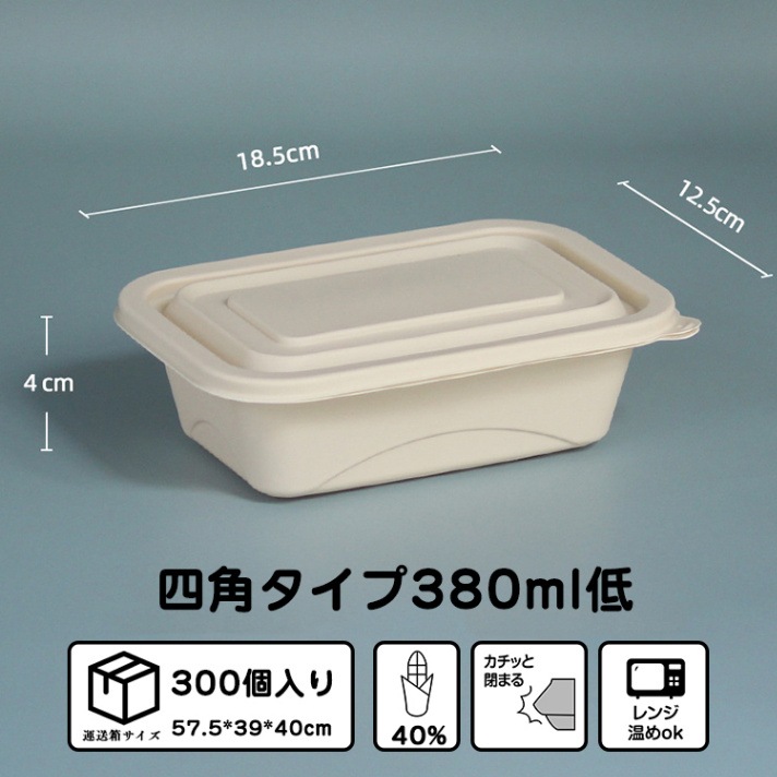 ラバーメイド ブリリアンス 5個パック 保存容器 弁当箱