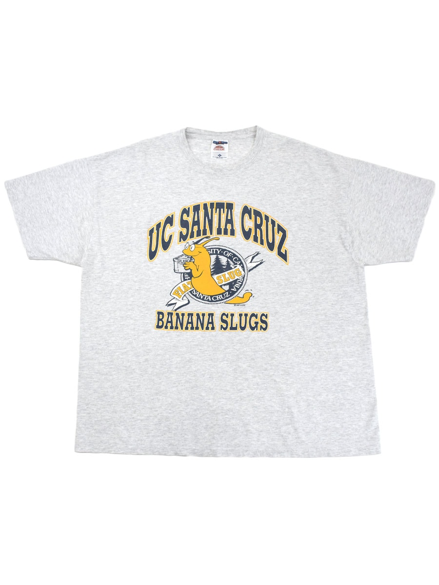 90's JERZEES ''UC SANTA CRUZ BANANA SLUGS'' 3段プリント T