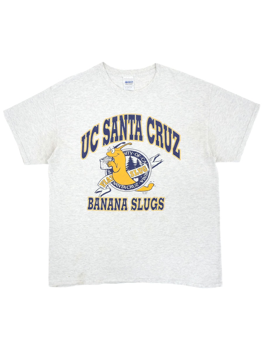 90's GILDAN ''UC SANTA CRUZ BANANA SLUGS'' 3段プリント Tシャツ