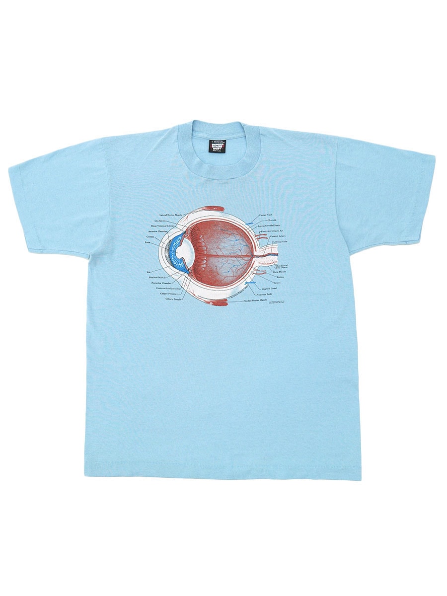 80's SCREEN STARS BEST アイボール アナトミープリントTシャツ ライトブルー 表記(L) USA製