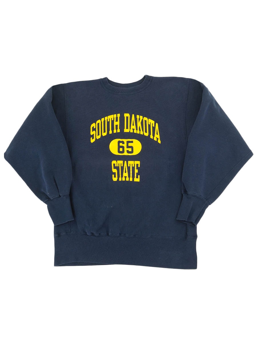 90's 刺繍タグ チャンピオンRW ''SOUTH DAKOTA STATE'' 3段プリント ネイビー 表記(L) USA製