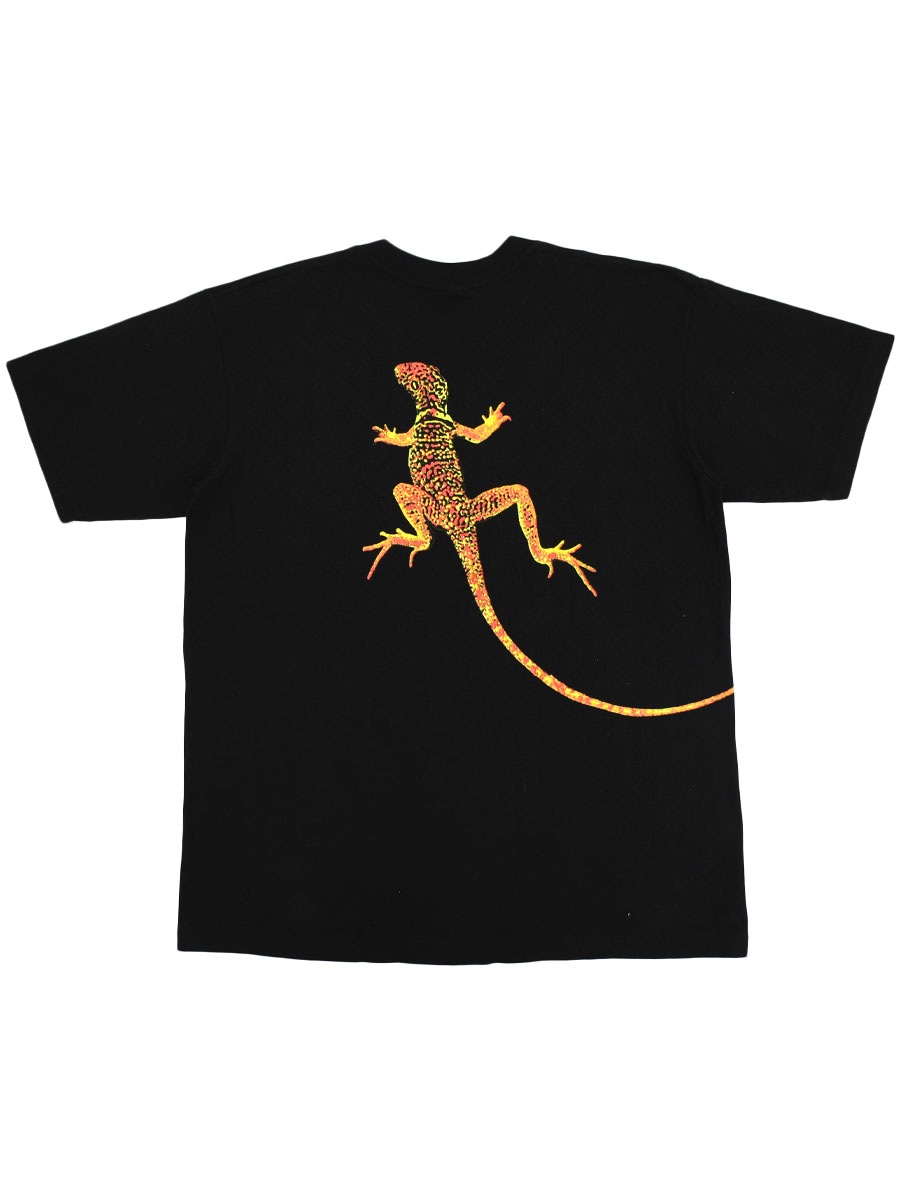 ⭐︎ Bohemian (@officebohemian) / Posts / X